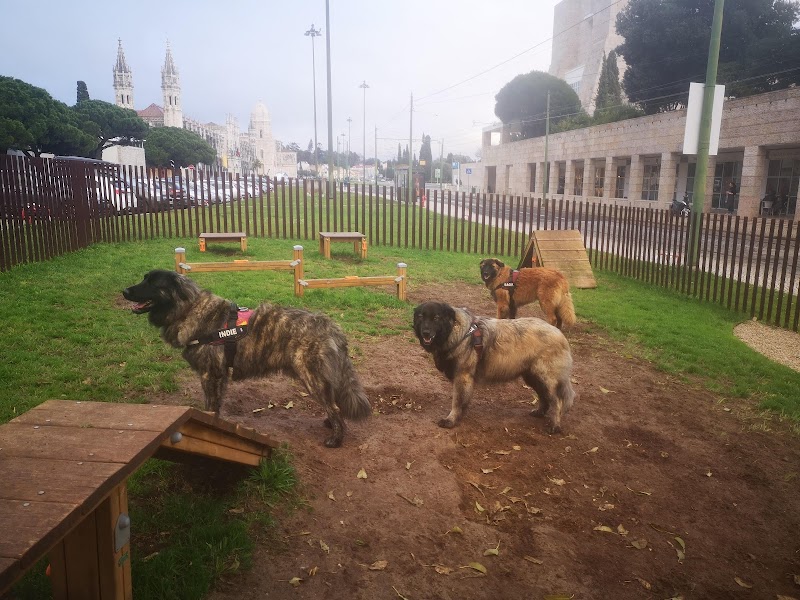 Parque Canino do CCB - foto 2