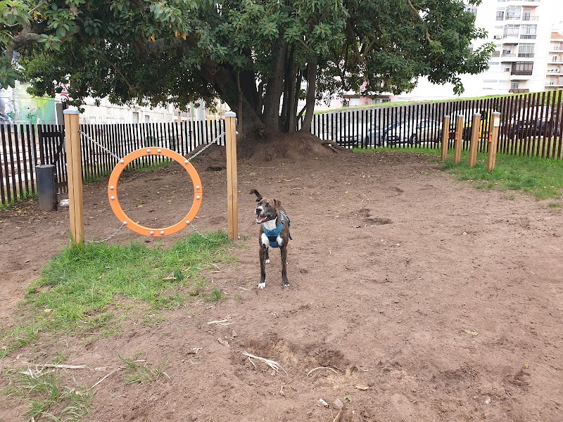 Parque Canino do CCB - foto 3