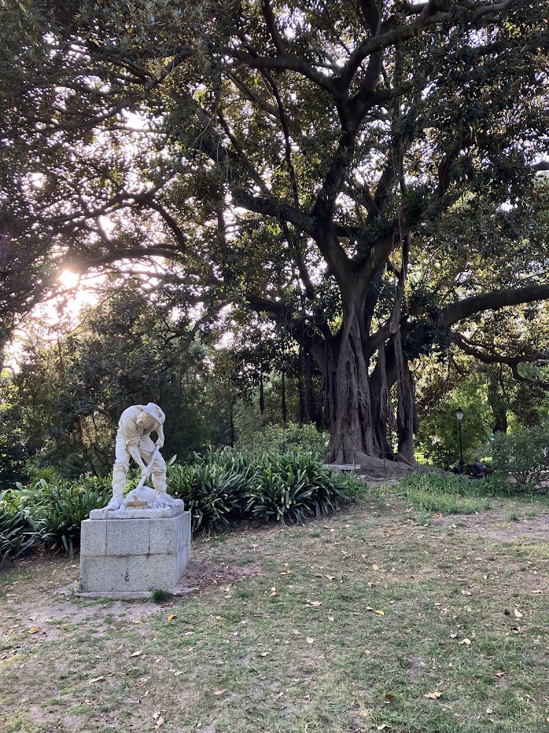 Jardim da Estrela - foto 4
