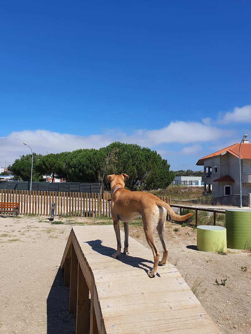 Parque Canino de Porto Salvo - foto 3