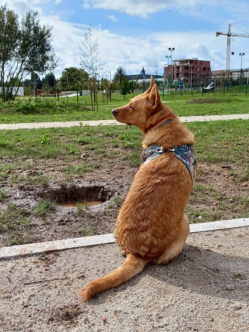Parque Canino de Fânzeres - foto 4