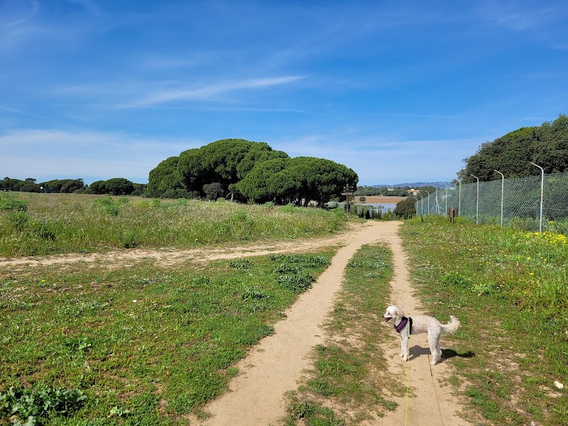 Parque canino de Olhão