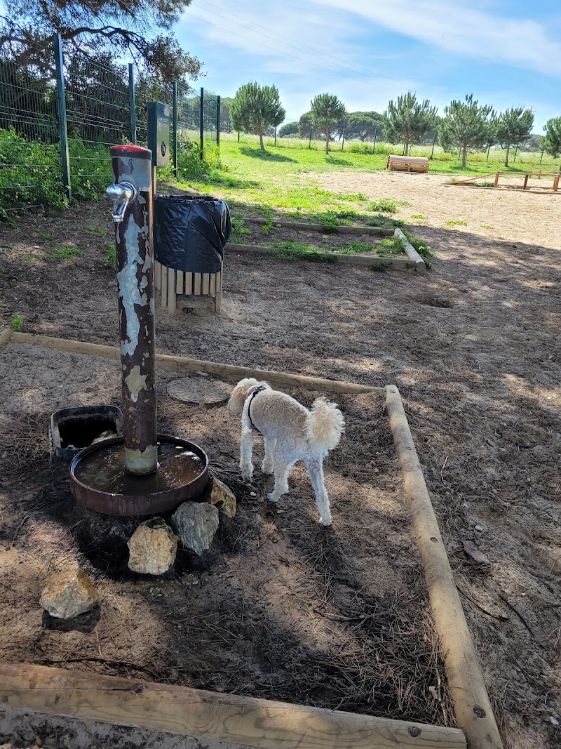 Parque canino de Olhão - foto 2