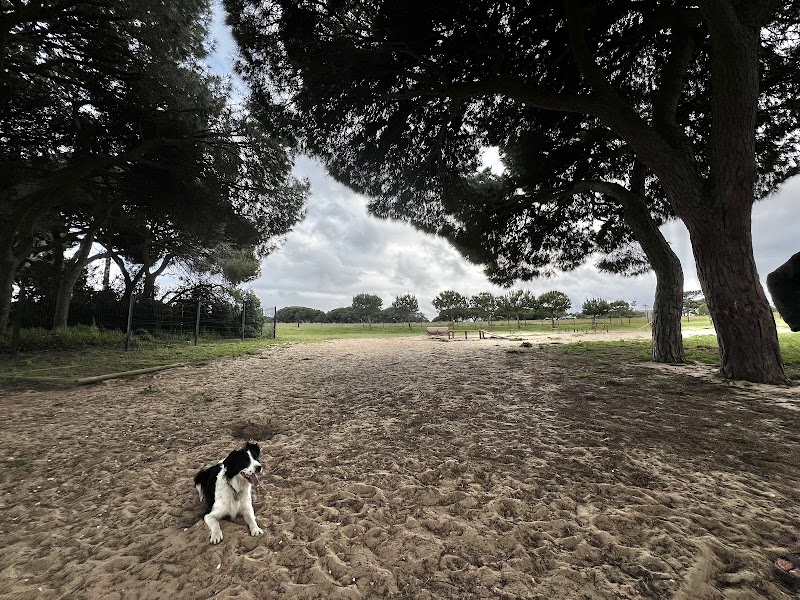 Parque canino de Olhão - foto 3