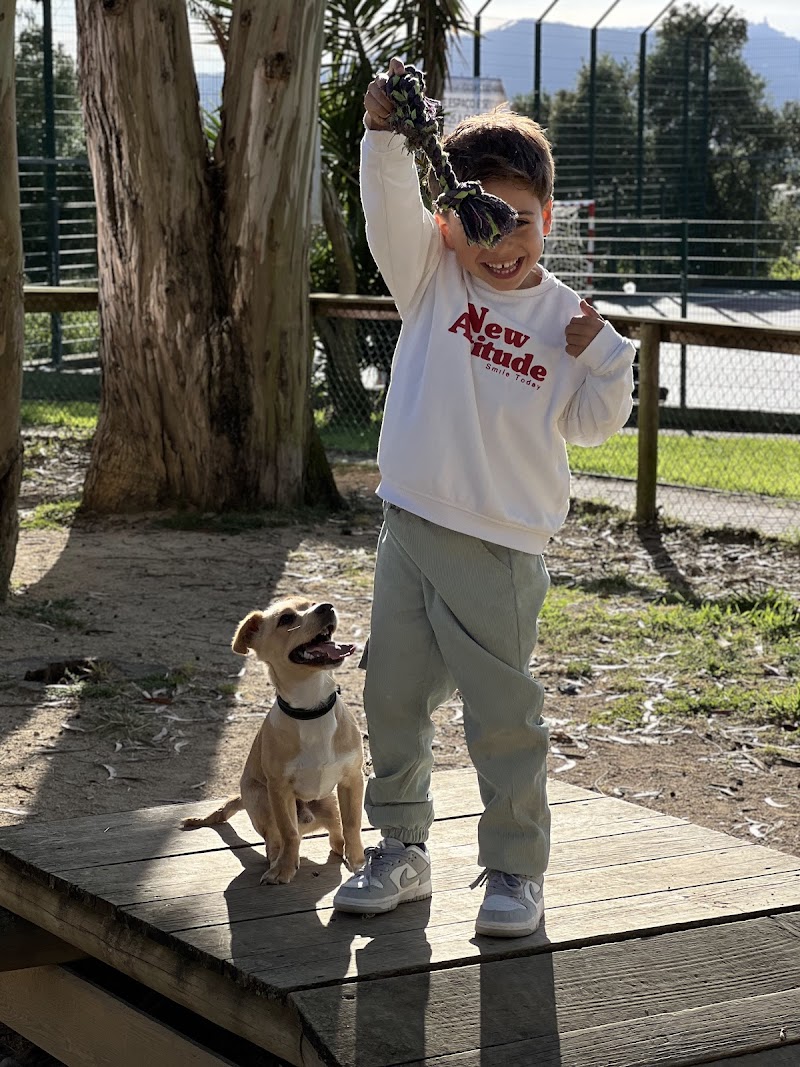 Parque para cães Rua da Esperança - foto 2