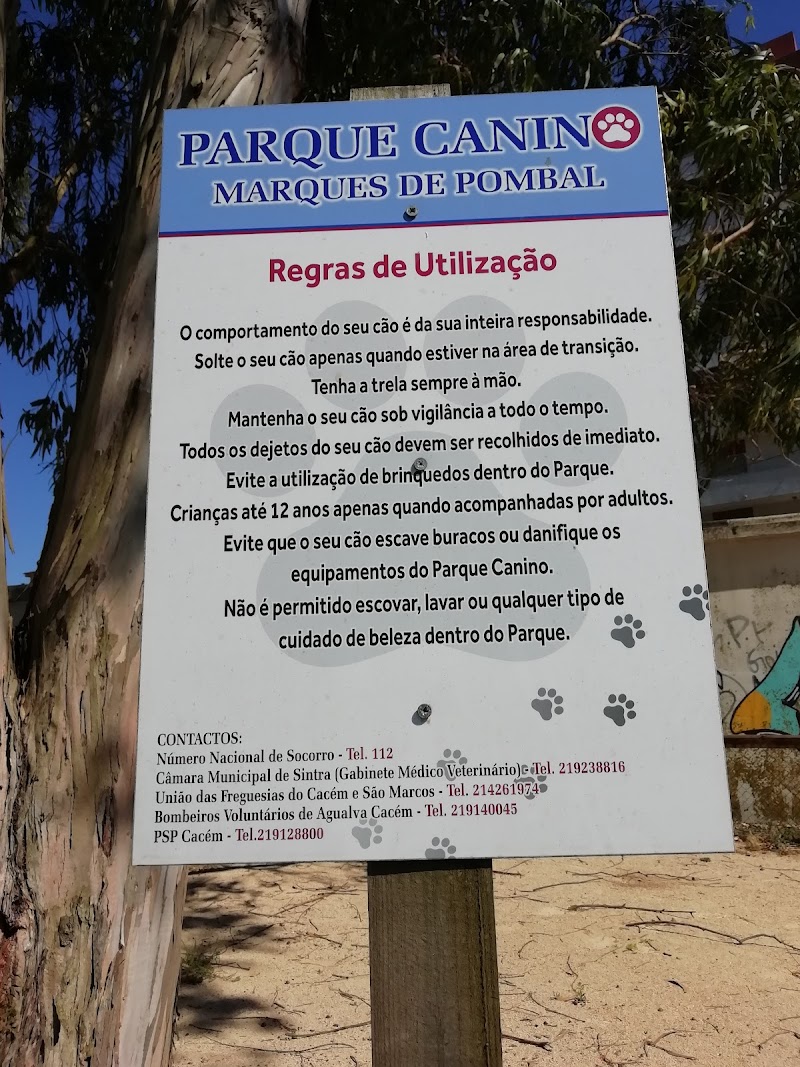 Parque para cães Rua da Esperança - foto 3