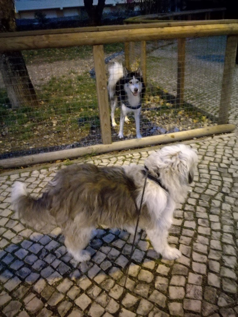 Parque Canino Mem Martins