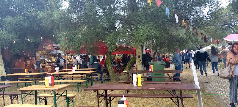 Parque Canino Mem Martins - foto 3