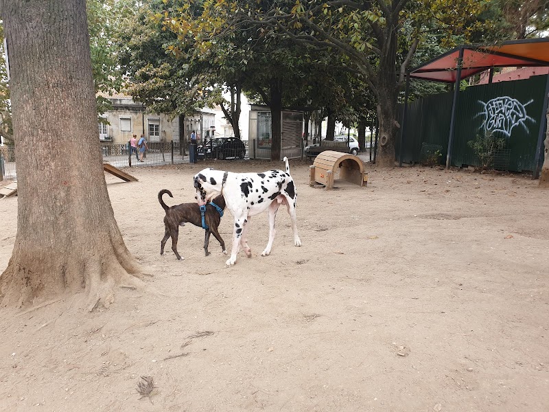 Parque Canino - foto 3