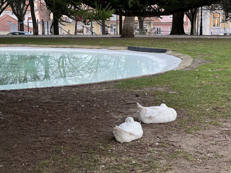 Parque Canino - foto 5