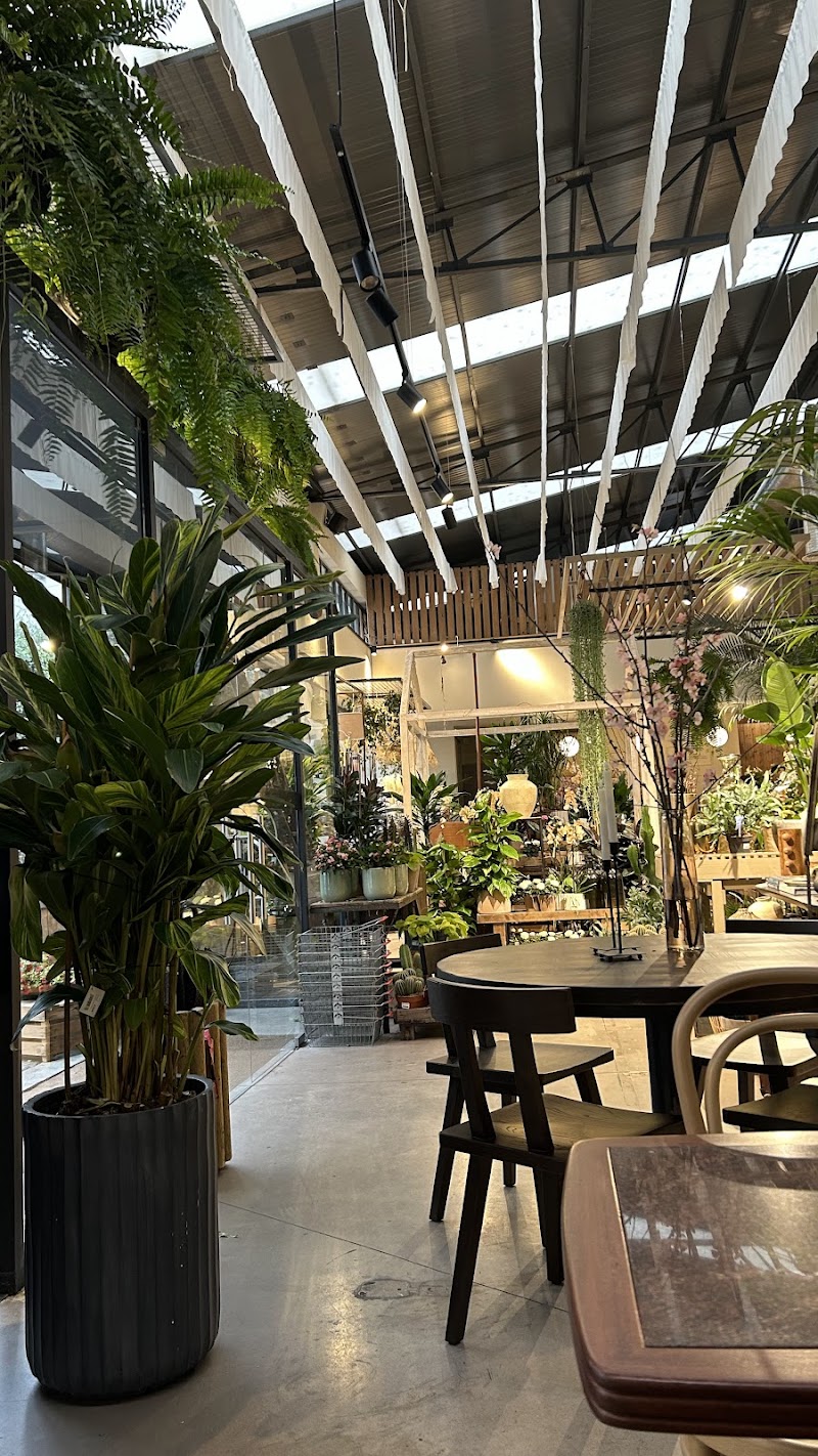 Terrárea - foto 2