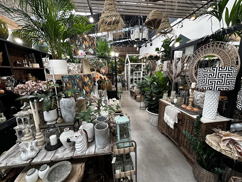 Terrárea - foto 4