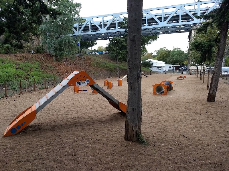 Parque Canino de Oeiras - foto 2