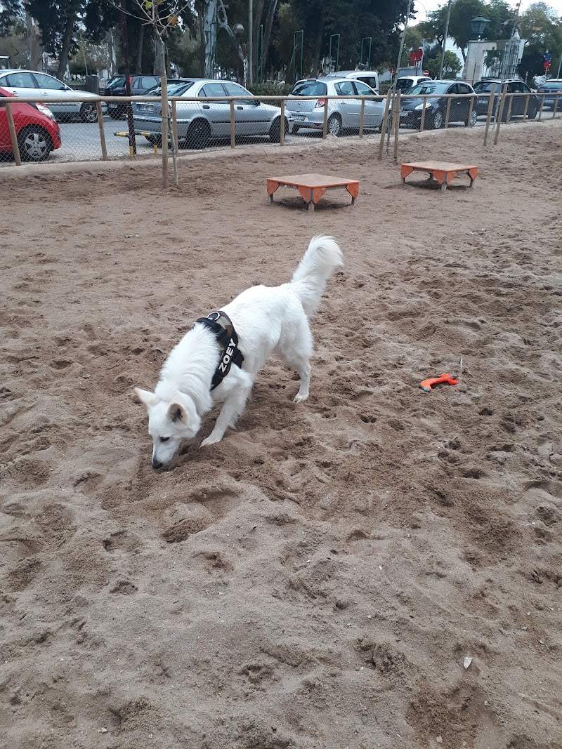 Parque Canino de Oeiras - foto 3