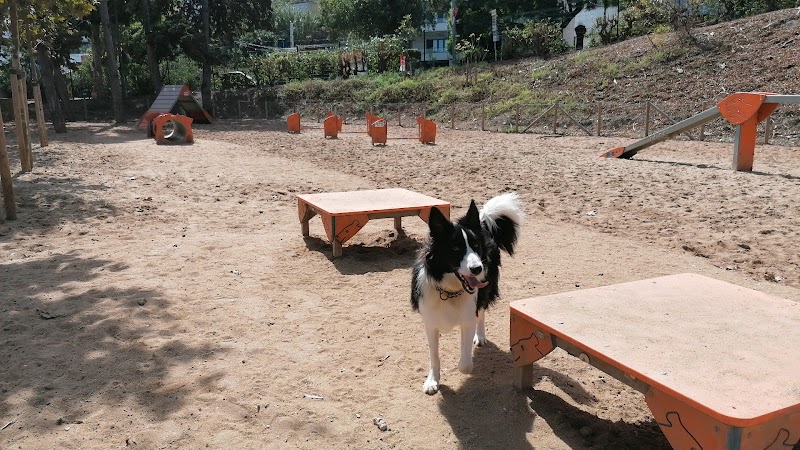 Parque Canino de Oeiras - foto 4