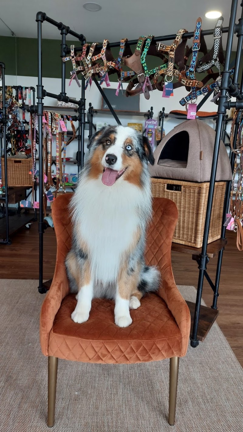 Le Wuf Wuf - foto 2