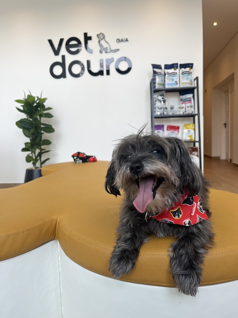 Clínica Veterinária VetDouro Gaia - foto 3