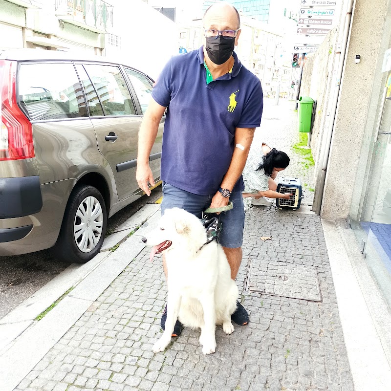 Consultório Veterinário de Gaia - foto 4