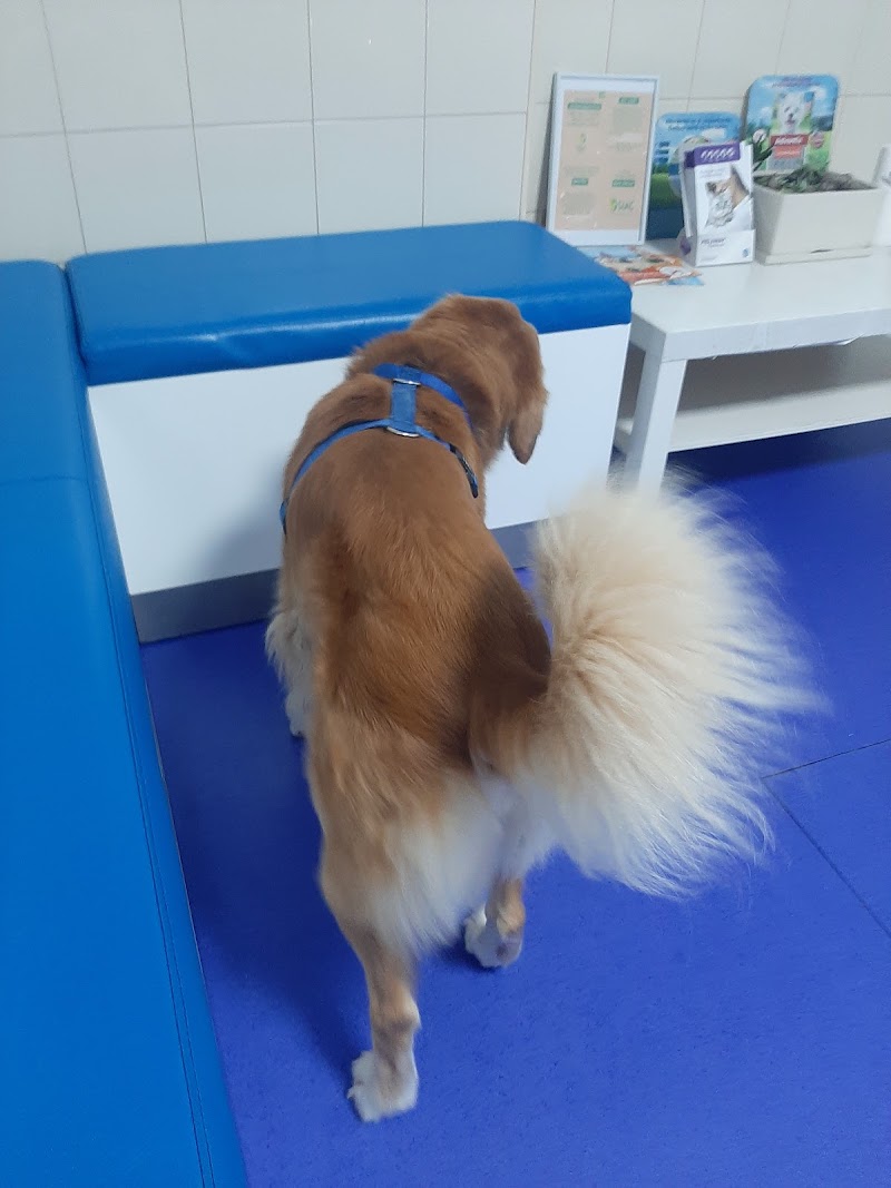 Consultório Veterinário de Gaia - foto 5