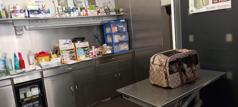 Veterinário Amicão - foto 5