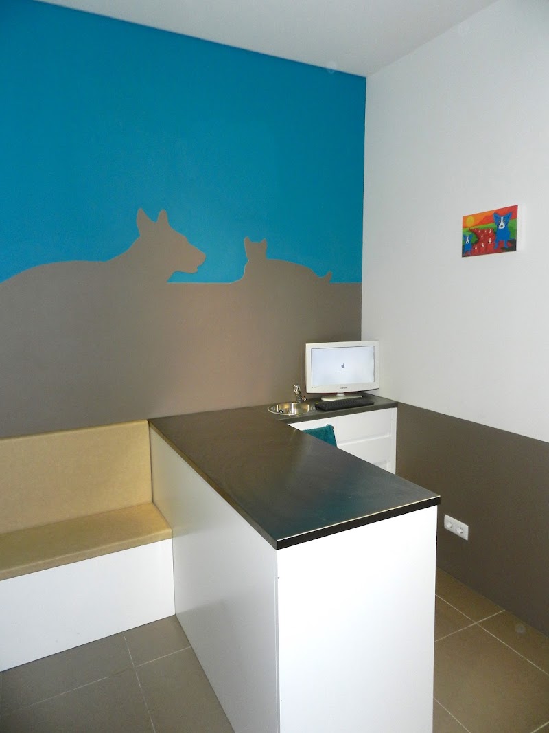 Centro Veterinario São João - foto 2