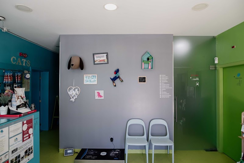 LEÇAVet - Clínica Veterinária - foto 2
