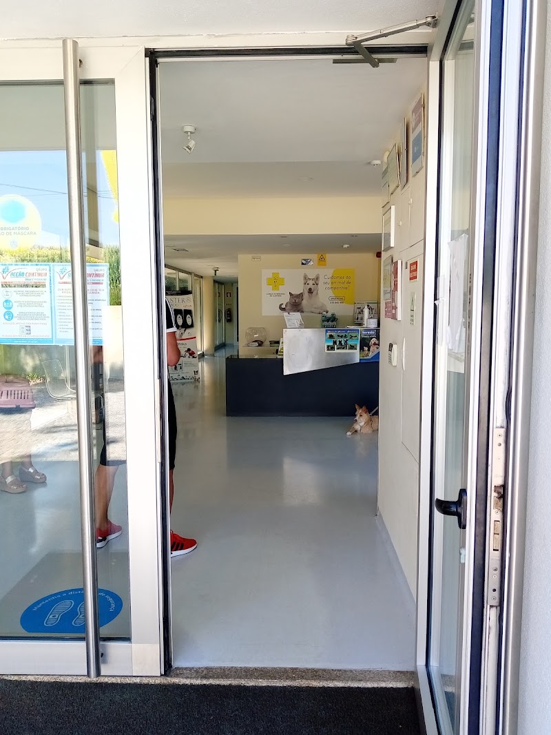 Clinica Veterinaria De Custóias - foto 4