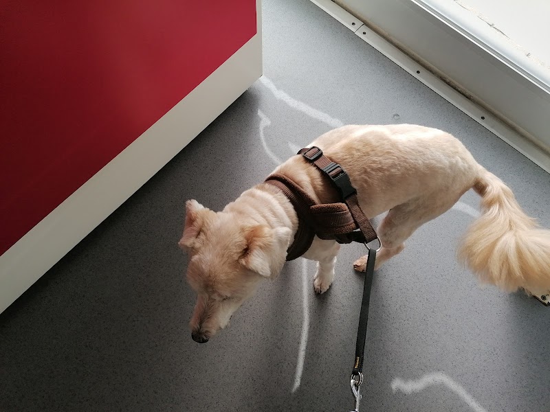 Clínica Veterinária Dra Patrícia Guimarães - foto 3