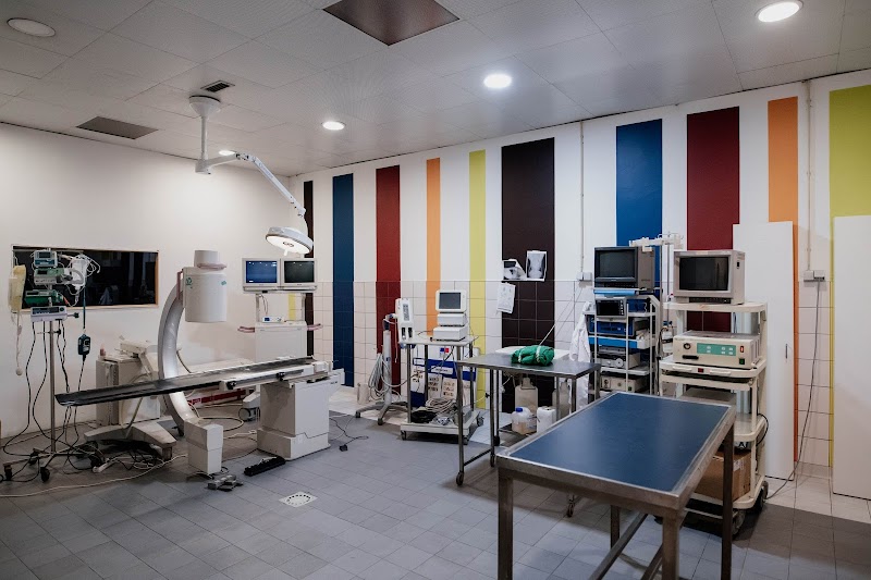 Hospital Veterinário do Porto - foto 2