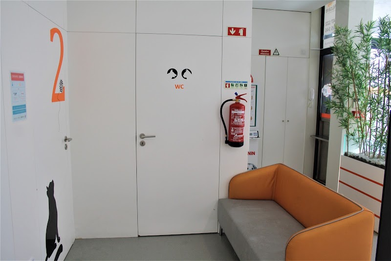 ANIMALcare Hospital Veterinário - foto 2