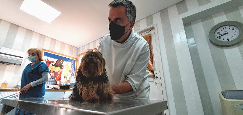 Hospital Veterinário Dr.Francisco Corrêa Cardoso, Lda. - foto 3