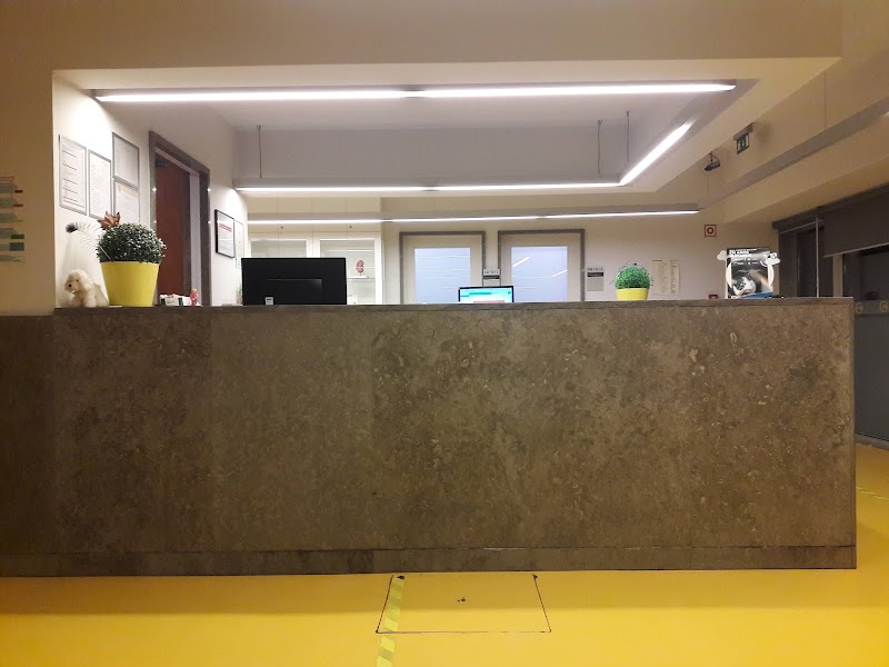 Hospital Veterinário da Universidade do Porto - UPVet - foto 4