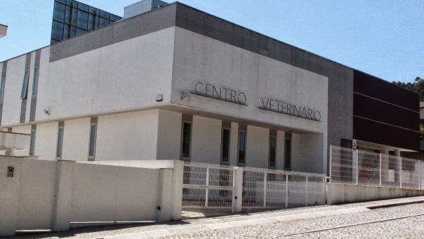 HVG - Hospital Veterinário de Gaia - foto 2