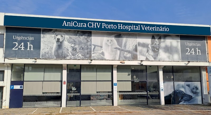 AniCura CHV Porto Hospital Veterinário | Urgências 24h