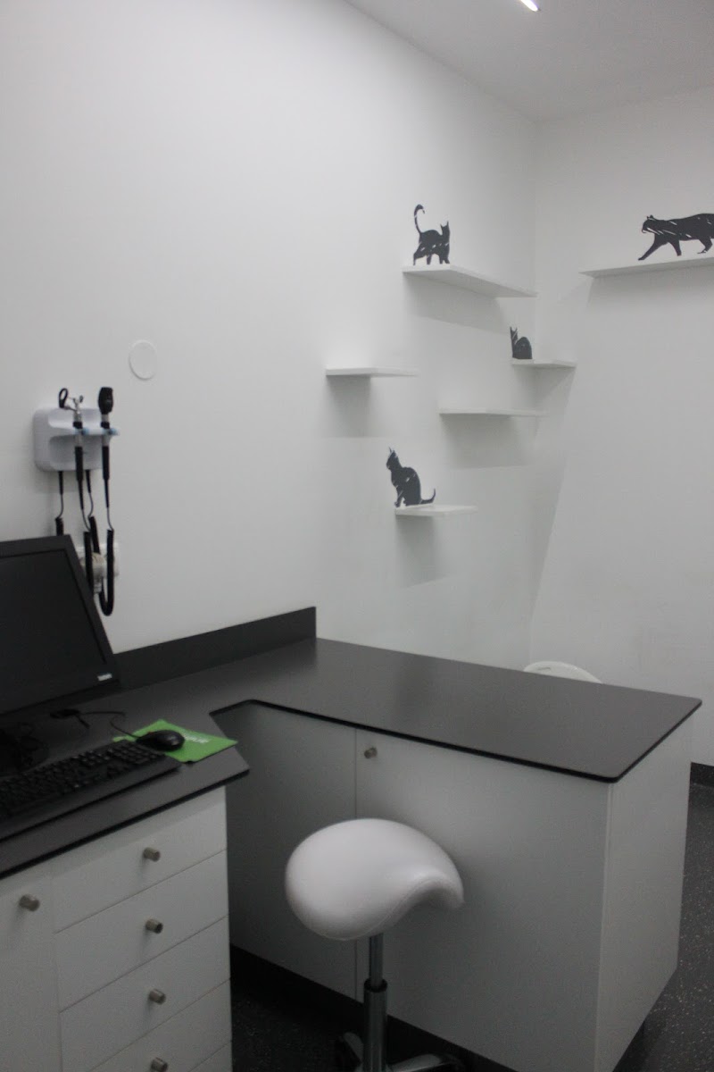 Animed - Hospital Veterinario de Gondomar - foto 2