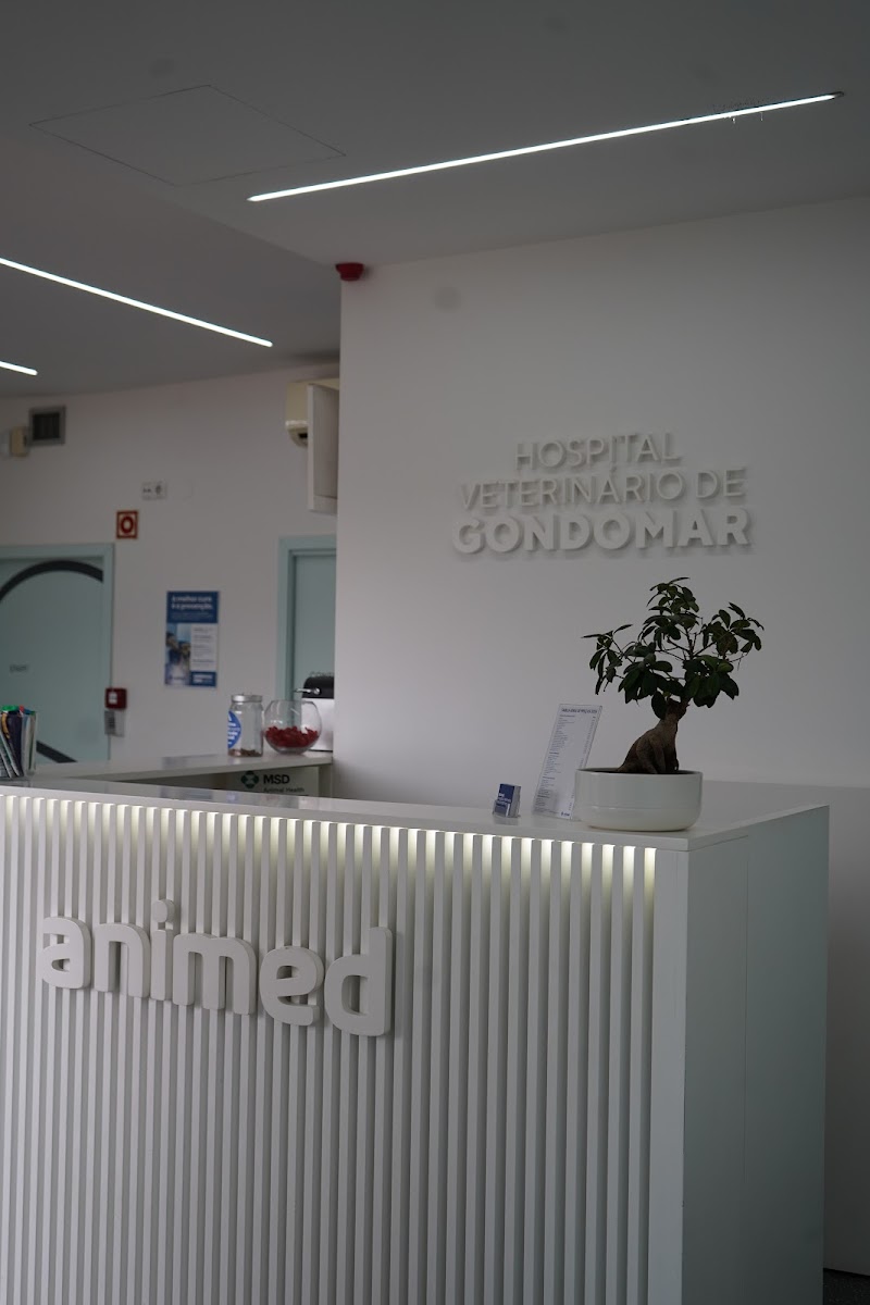 Animed - Hospital Veterinario de Gondomar - foto 3