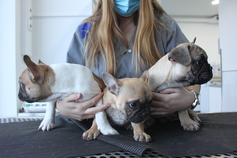 Animed - Hospital Veterinario de Gondomar - foto 5