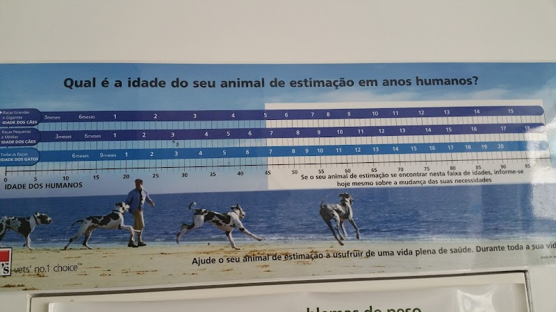 Hospital Referência Veterinária Montenegro - foto 3