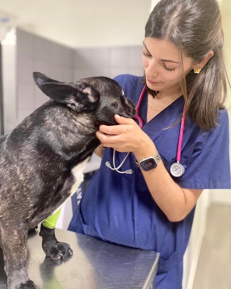 AniCura Santa Marinha Hospital Veterinário | Urgências 24h - foto 4