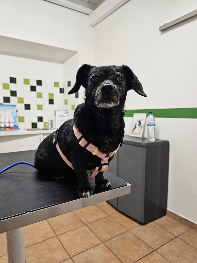 Centro Veterinário GuiaVet - foto 5