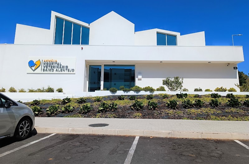 Hospital Veterinário do Baixo Alentejo - foto 2