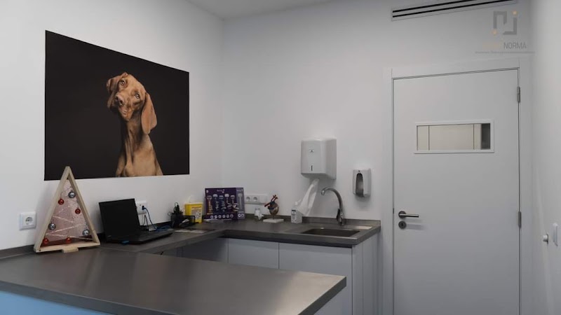Hospital Veterinário do Baixo Alentejo - foto 3