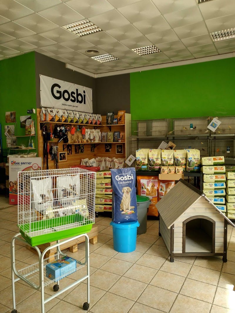 Exotibeja - foto 2