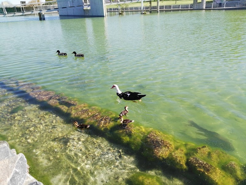 Parque da Cidade José Manuel da Costa Carreira Marques - foto 4