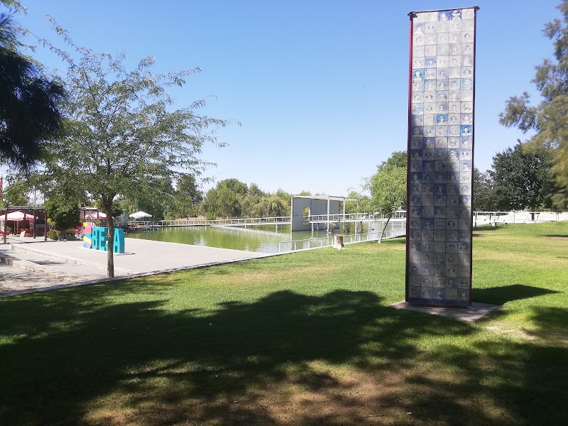 Parque da Cidade José Manuel da Costa Carreira Marques - foto 5
