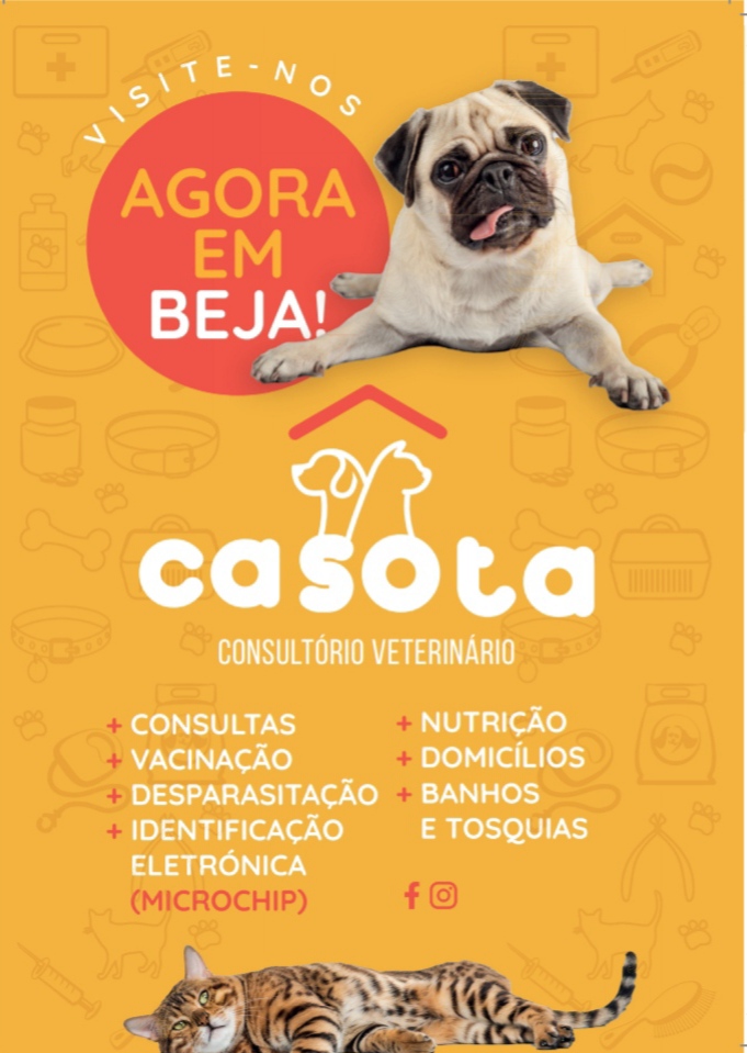 Casota Consultório Veterinário - foto 4