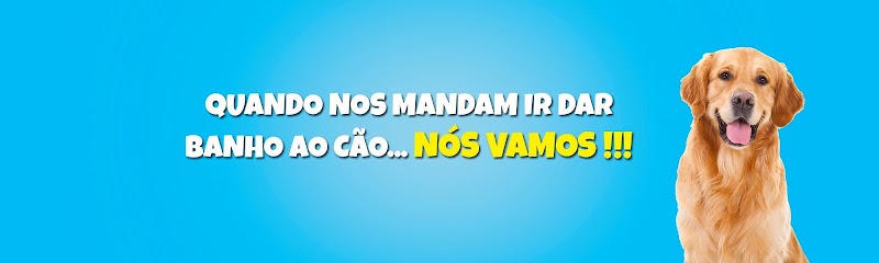 PetLove—Centro de Bem Estar Animal