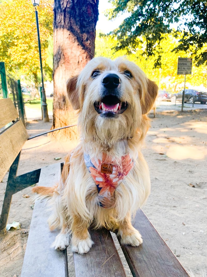 Malü Pet Care - Petsitting - foto 3