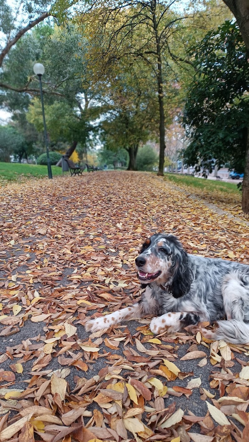 Malü Pet Care - Petsitting - foto 4