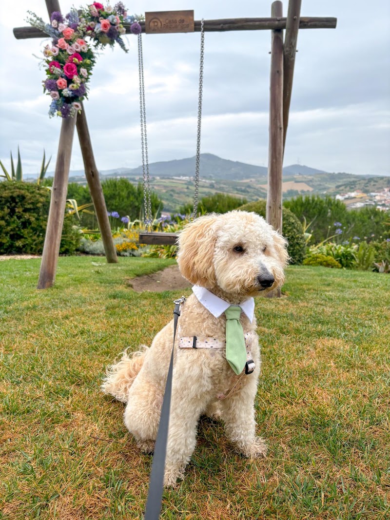 Malü Pet Care - Petsitting - foto 5